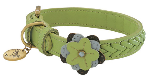 Celery Petal Leather Dog Collar