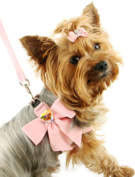 Dog Harness AC565M1 Designer Pet Harness My Sweet Bow