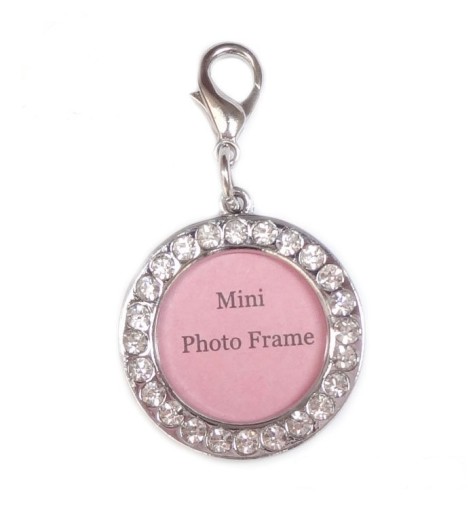 Top-selling-Free-shipping-100pcs-assorted-size-fashion-crystal-font-b-pendant-b-font-pet-frame