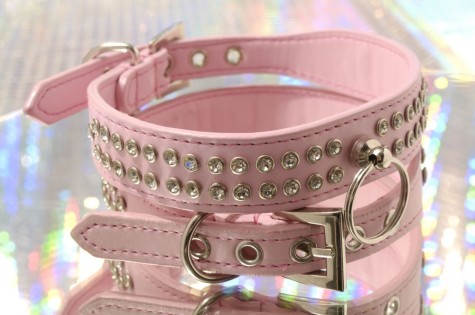 crown_jewels_collar_pink_detail___61615.1308517557.1280.1280