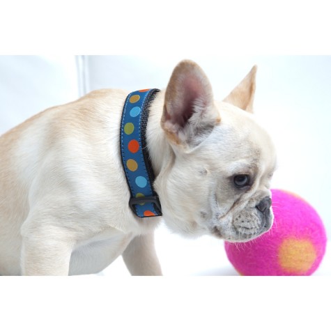 isabella-canes-ribbon-dog-collar-blue-dots-xs-d-20120307171148517~1101631